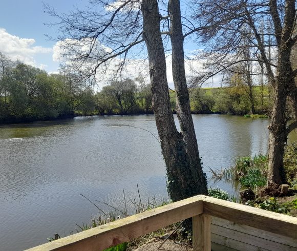 Willow Lake Image