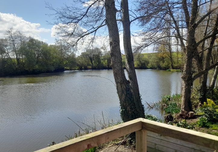 Willow Lake Image