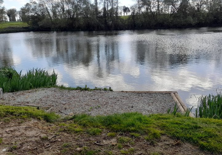 Willow Lake Image