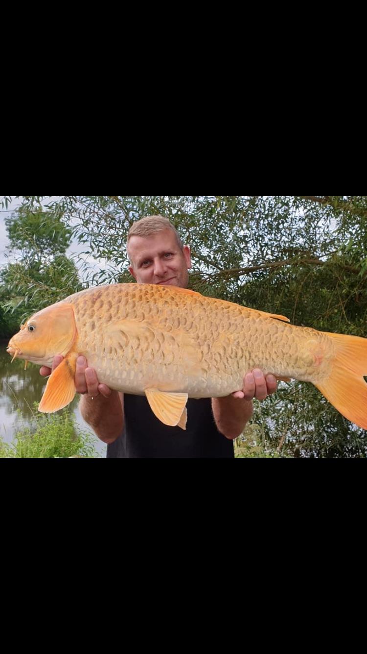 Carp Lakes near Limoges in France