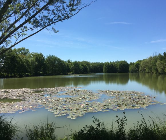 Etang la Planchette Image