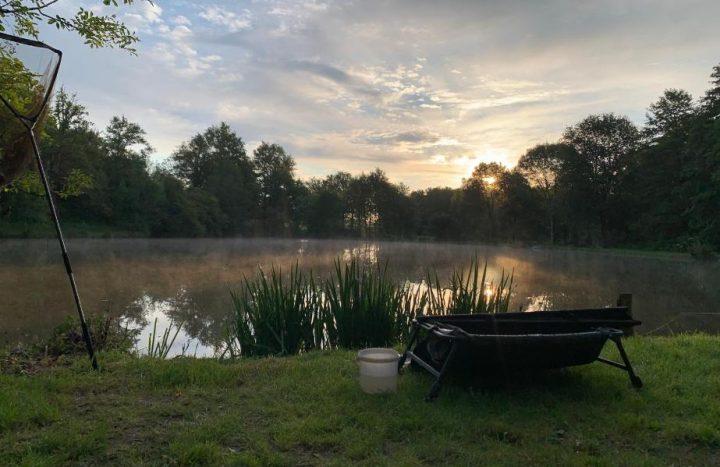 Lac Lucie – Carp France Fisheries – 28 June, 2025
