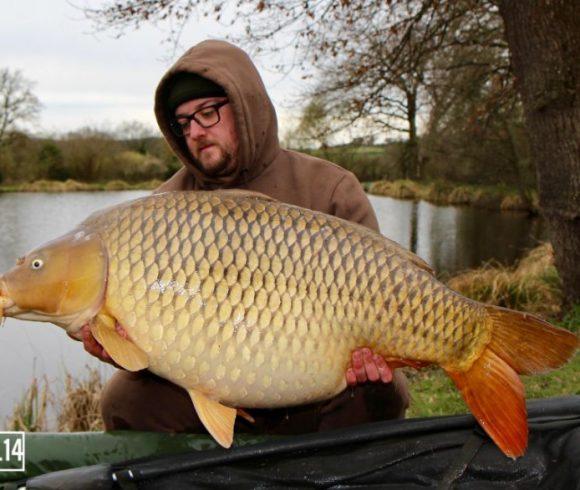 Etang de Villaine Image