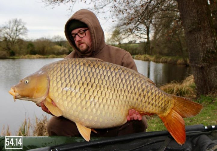 Etang de Villaine Image