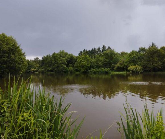 Millstone Pool Image