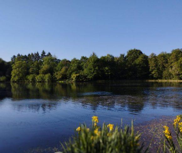 Millstone Pool Image