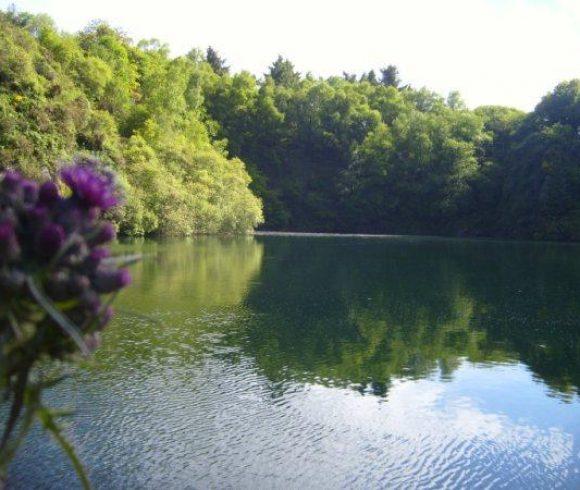 Carp Quarry Image