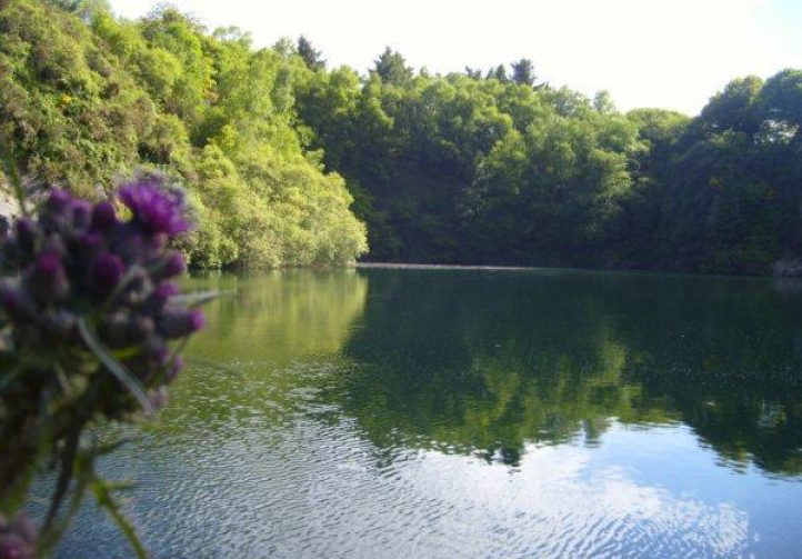 Carp Quarry Image