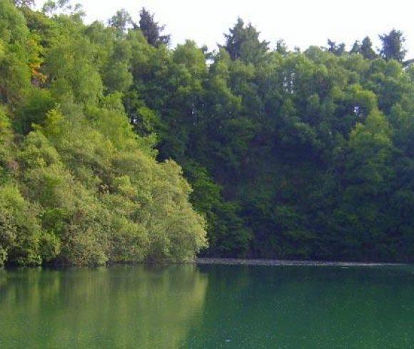 Carp Quarry Image