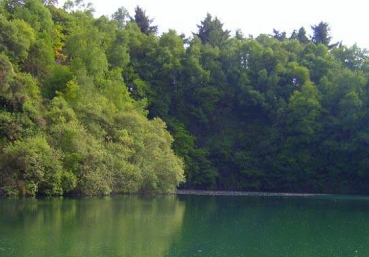 Carp Quarry Image