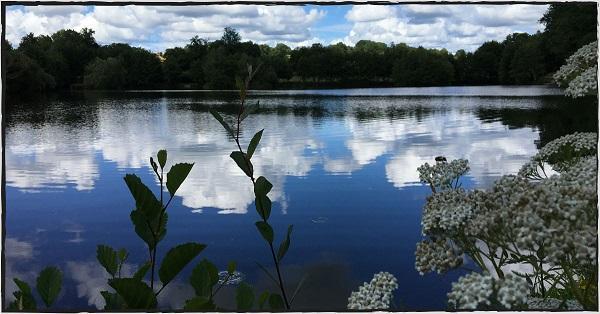 Carp Lakes near Limoges in France