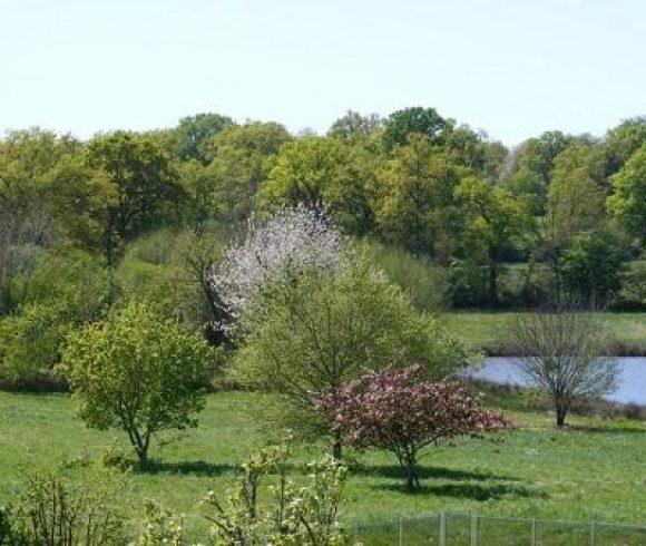 Lac des Demoiselles Image