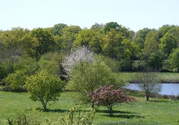 Lac des Demoiselles Image