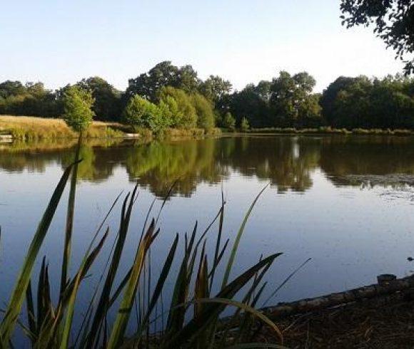 Lac des Demoiselles Image