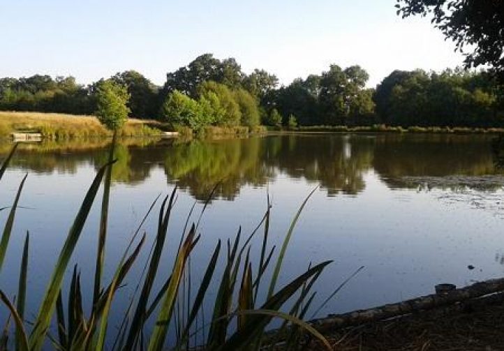 Lac des Demoiselles Image