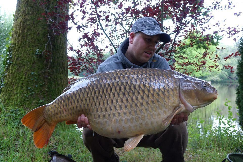 Carp Lakes in Northern France