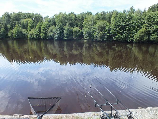 Carp Lakes near Limoges in France