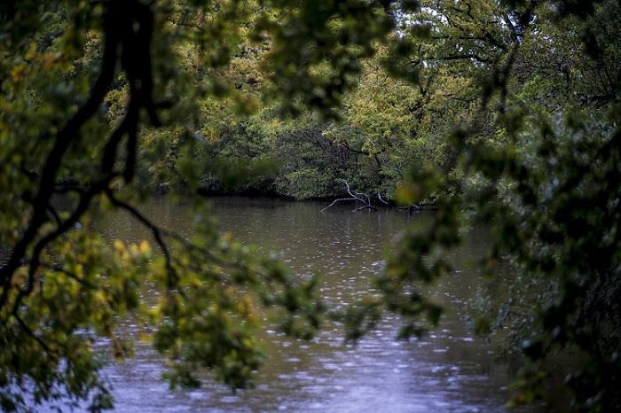 Catching Carp in the Autumn