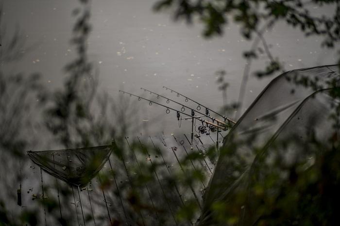 Catching Carp in the Autumn