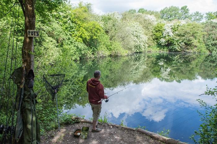 Surface Fishing for Carp