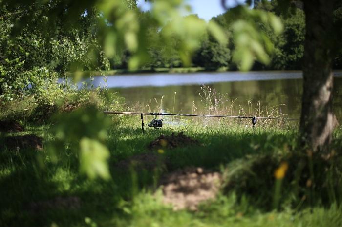 Tips and Tactics for Carp Fishing in France