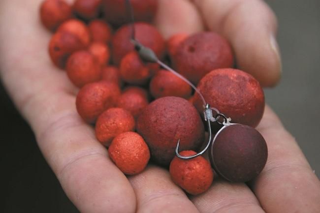 The Hinged Stiff Rig – the ultimate big carp rig