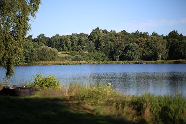 A Guide to Catching Carp in the Summer Months