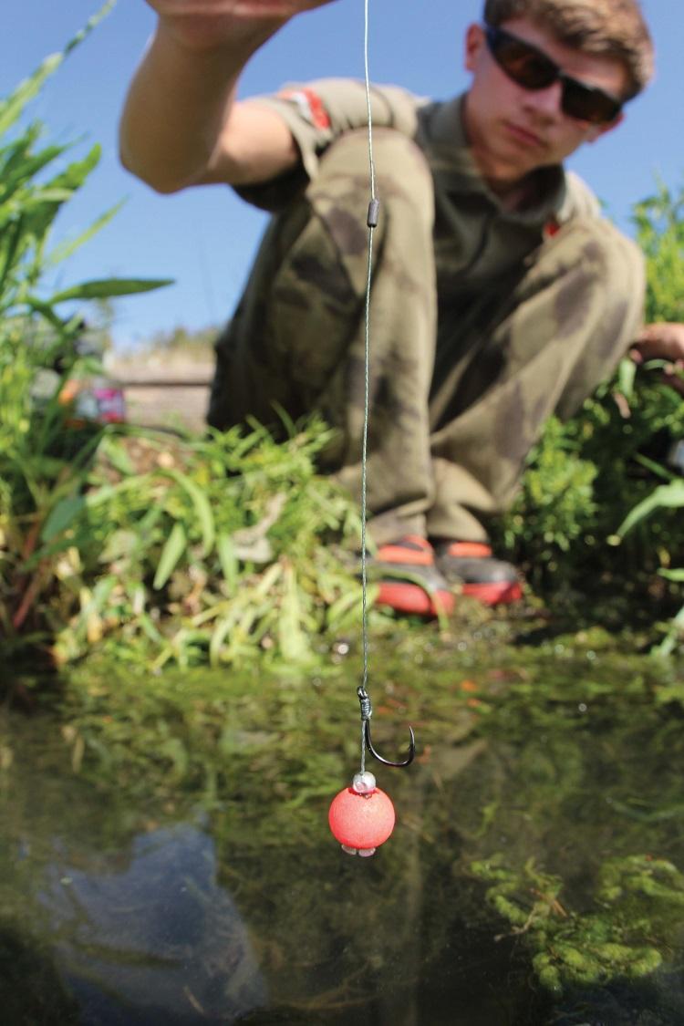 How to Fish Effectively for Carp in Weedy Lakes