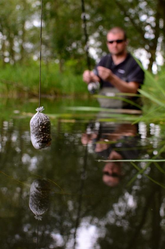 Stalking Carp from the Margins