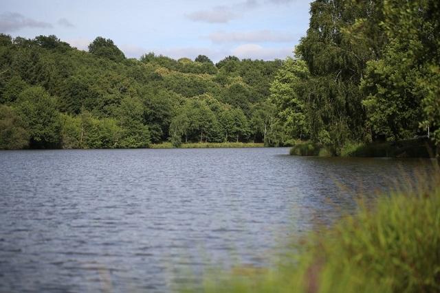 How Weather Patterns can Influence Carp Behaviour