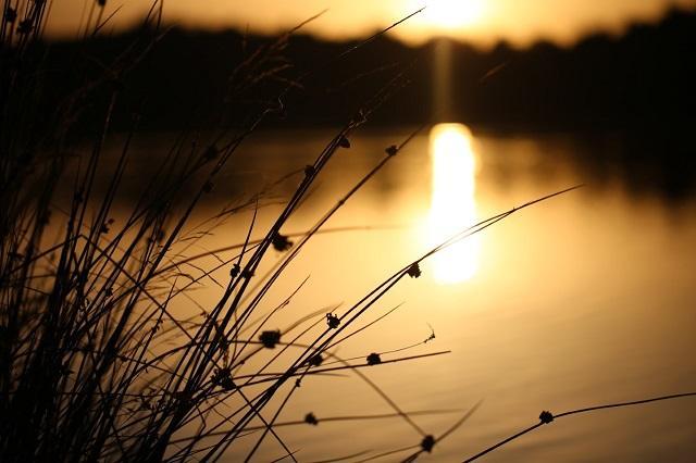 How Weather Patterns can Influence Carp Behaviour