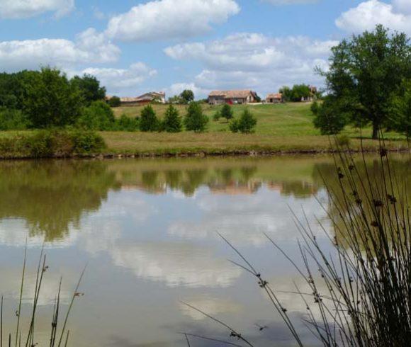 Martins’ Lakes – Gite and Coarse Lake Image