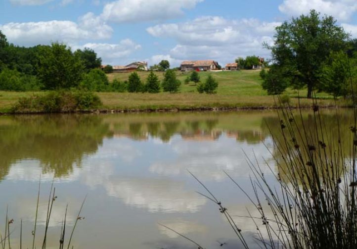 Martins’ Lakes – Gite and Coarse Lake Image