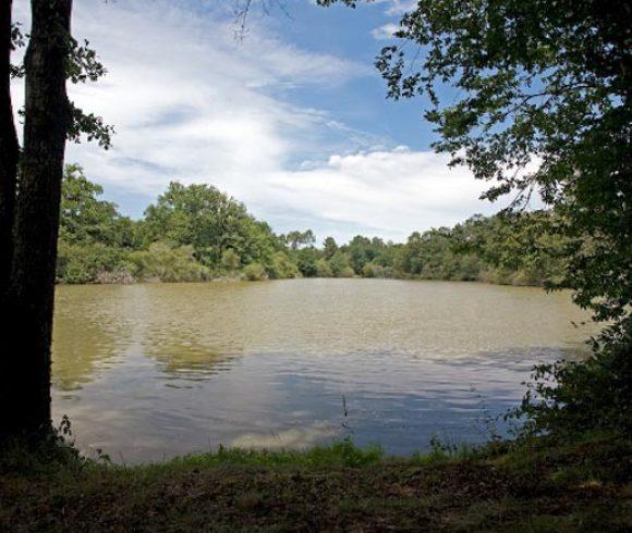 Martins’ Lakes – Specimen Lake Image