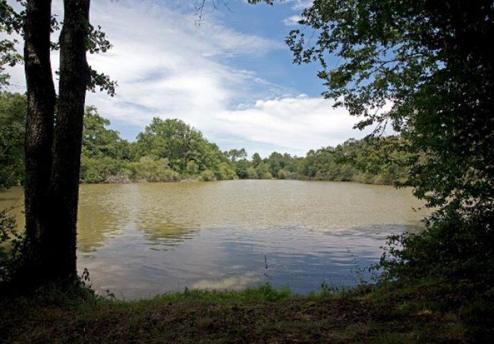 Martins’ Lakes – Specimen Lake Image