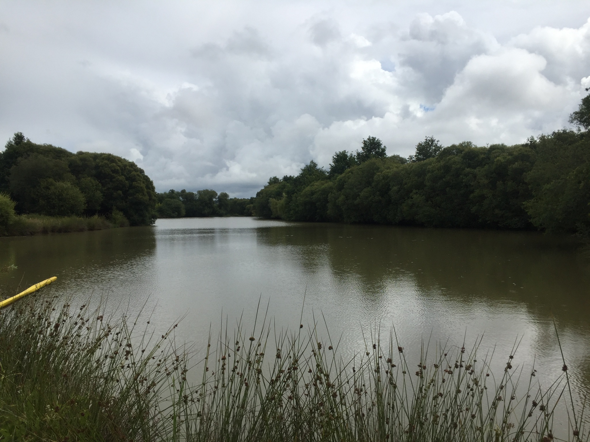 Carp Hunters Lake – 09 September, 2020