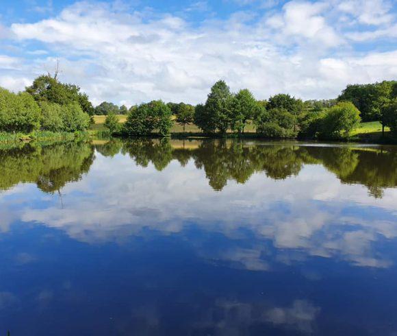 Al’s Lake Image