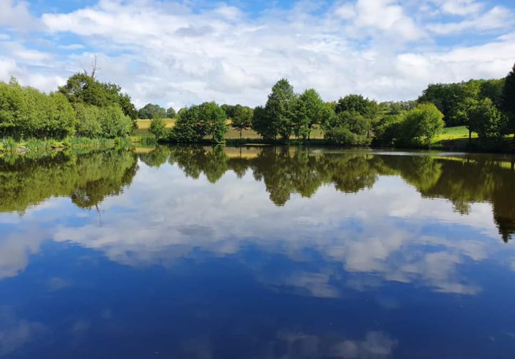 Al’s Lake Image