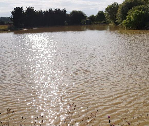 Oak Tree Lake Image