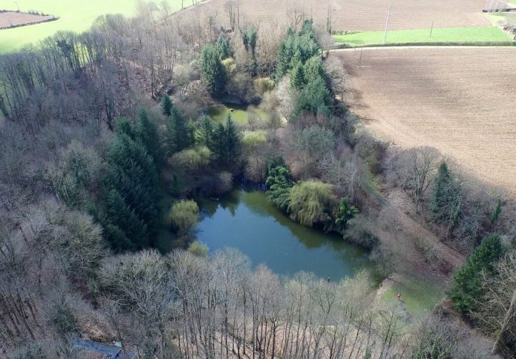 Chestnut Pool Image