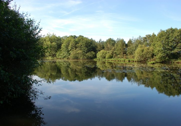 Oakwood Fisheries Image