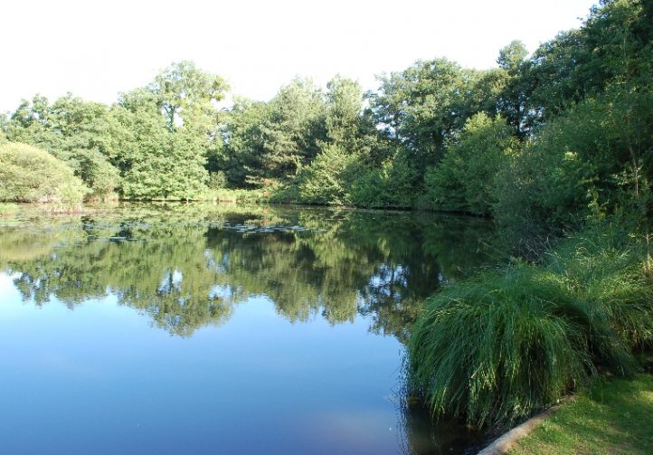 Oakwood Fisheries Image