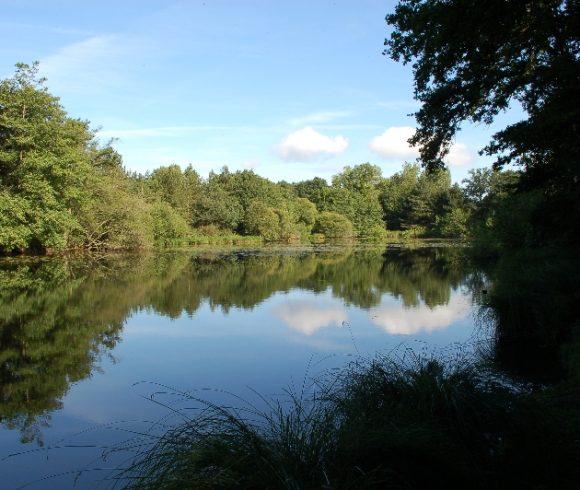 Oakwood Fisheries Image