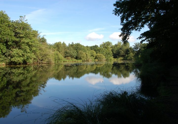 Oakwood Fisheries Image