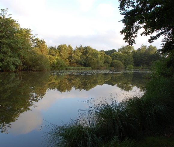 Oakwood Fisheries Image