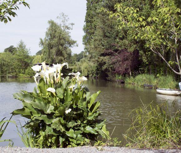 Barbret Lake Image