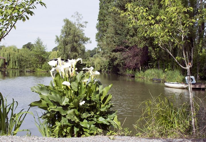 Barbret Lake Image