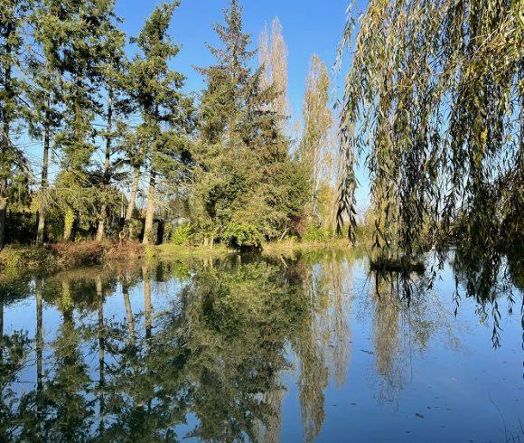 Barbret Lake Image