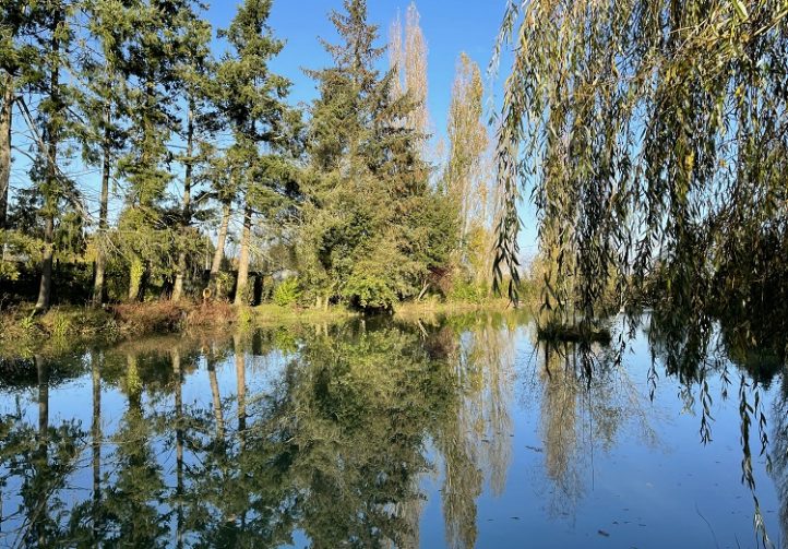 Barbret Lake Image