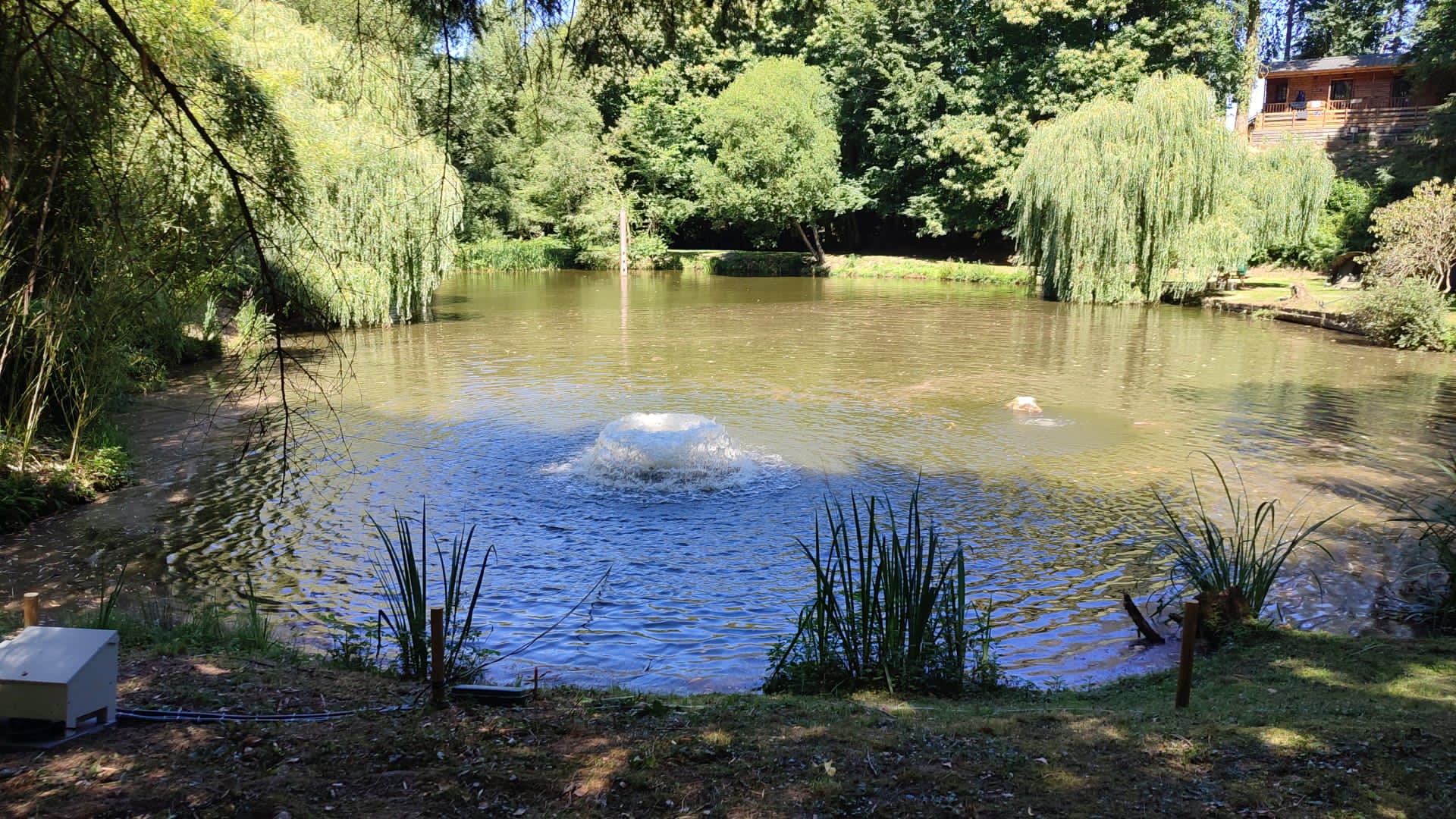 Chestnut Pool – 02 July, 2022
